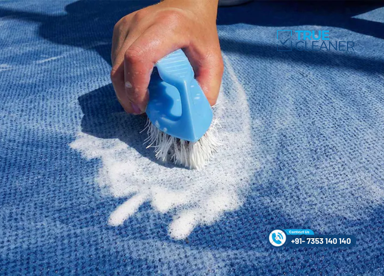 Professional Carpet Cleaners Bangalore